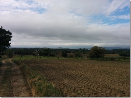 Hill 60 2015-10-21 (4)_thumb[2]