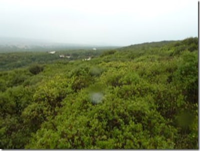 Suvla Kidney Hill & area 21-10-15 (1)_thumb[2]