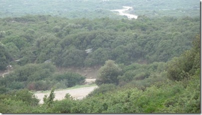 Suvla Kidney Hill & area 21-10-15 (3)_thumb[1]